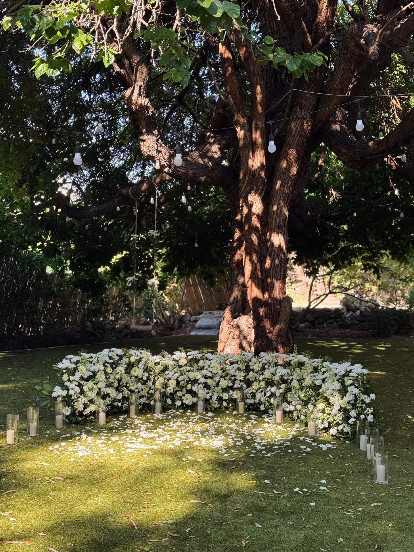 Intimate proposal surrounded by nature and love at Beit Tout